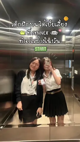 📁ฝึกงาน ที่ Synnex ทำอะไรบ้างใน 1 วัน🐣 (ได้เบี้ยเลี้ยงด้วยนะ คิคิ)  @Meiixd #ฝึกงาน #ฝึกงานที่ไหนดี #นักศึกษาฝึกงาน #synnexthailand 