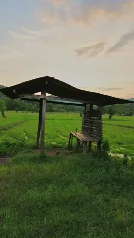 ගම 🥹🇱🇰 #foryoupage #dji #srilanka #djimini3 #fypシ゚viral #fypシ゚viral #dronemalli #village 