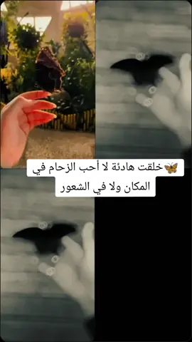 🖤🦋