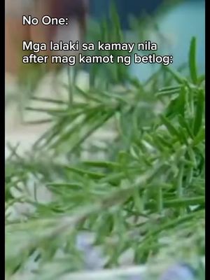 Langhap sarap #fyp #foryou #foryoupage #meme 