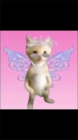 #CapCut #cat #meme  #catmeme #butterfly #butterflysmile #butterflysong 
