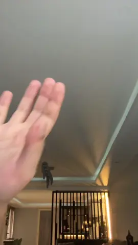 بأقل التكاليف 🤣🤣