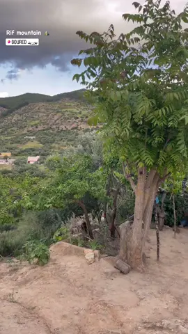 #rif #nador #elhoceima #morocco #tiktok #viral #fyp #explore 