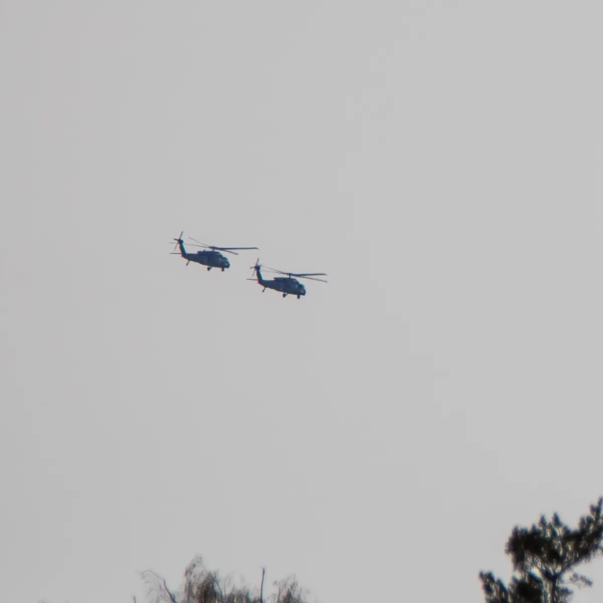 This was insanely cool to see, saw them after i was at flygvapenmuseum and it only said there was one chinook on flightradar24. #usarmy #tamron150600mmg2 #canon7dmarkii #fyp #chinook #blackhawk 