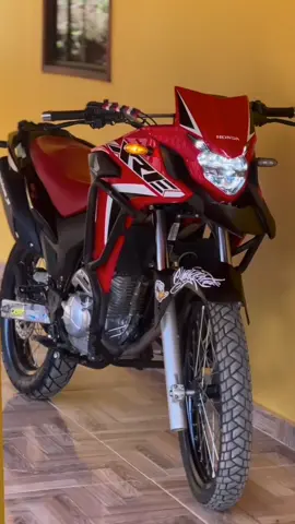 Bom dia!  #explore #fypシ゚viral #xtrem #xre300 #59d❤️👺💥 #fyyy 