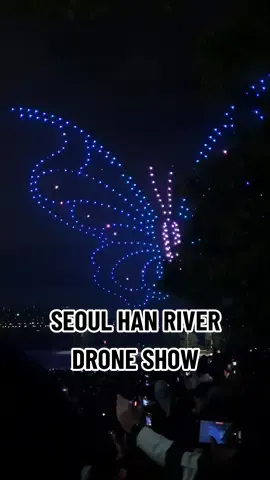 It's that time of the year again! The city of Seoul is having drone shows at the Han River. Don't miss it if you're there!  [2023 footage]  #seoul #Hanriver #한강 #droneshow #Seoulmysoul #korea #coree #fyp #pourtoi 