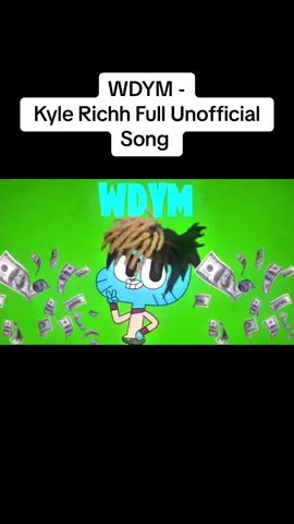 WDYM Kyle Richh #kylerichh #wdym #music #musicvideo #newsong #fyp 