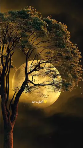 #காயத்ரி #அதிசயனே #myfavsong #என்சகியே #tamiltiktokmalaysia #fypシ #fypシ゚viral #fyp #fyppppp #trending 