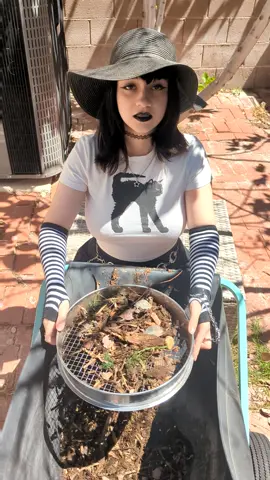 Whenever I sift the compost, he never wants to help, just watch?? #gardening #compost #landscaping #workinghard #altgirl 