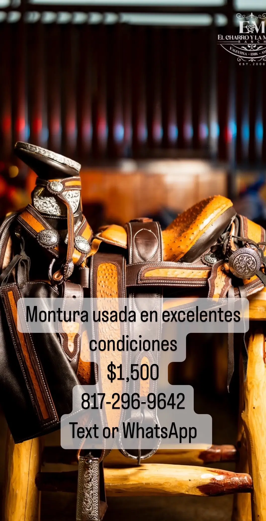 Monturas nuevas y usadas #elcharroylamayrita #elcharrito #elcharro #elcharroylamayritaranch #Texas #monturas #frenos #montura 