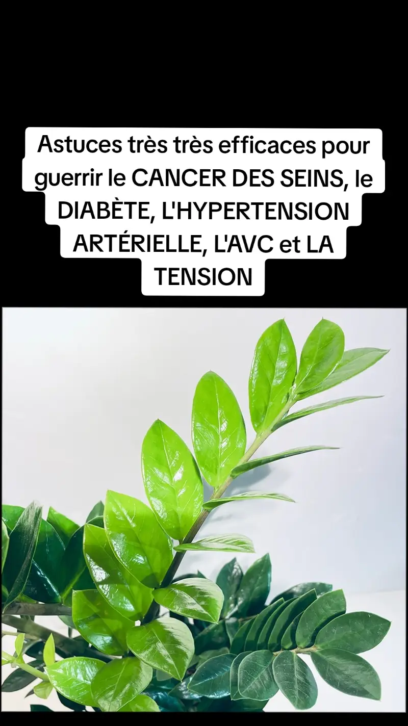 Astuces très très efficaces pour guerrir le CANCER DES SEINS, le DIABÈTE, L'AVC, L'INFECTION, L'HYPERTENSION ARTÉRIELLE #astuces #astuce #plante #médecine #avc #diabète #hypertension #maladie #guerrison #hypertension 