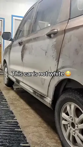 Satisfying car cleaning