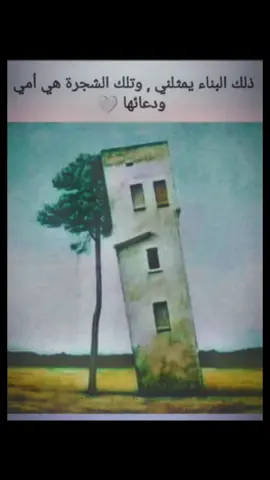 #أمي_يا_عروق_المحنة #ربي_يطولنا_بعمرك #ترند_تيك_توك #متابعه #لايك__explore___ #❤️❤️❤️❤️❤️ 