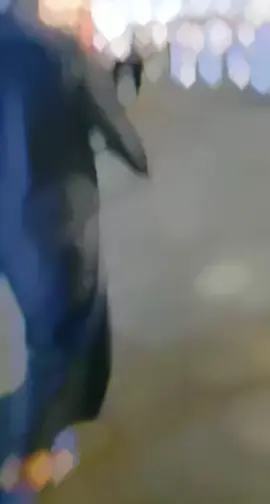الشيخ مصطفى الخشالي 