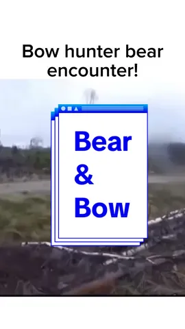 Surviving a bear attack tutorial #comedу #laugh #jokes #haha #viral 