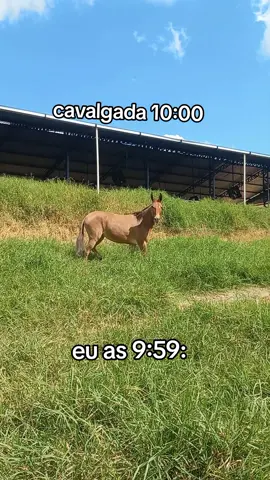 eee mula🤣🤣 #trend  #foyour  #mula  #cavalgada 