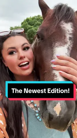 Meet Denver aka First Thingz First!🐴 
