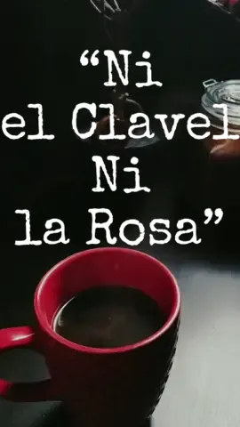 “Ni el Clavel, Ni La Rosa” ☕️ 🌌 🎙️ 🎬🎵   Leonardo Fabio  🎙️ #elcafedelugo #utécafetió #táncolándo #melómanocafetero #uncaféconmúsica