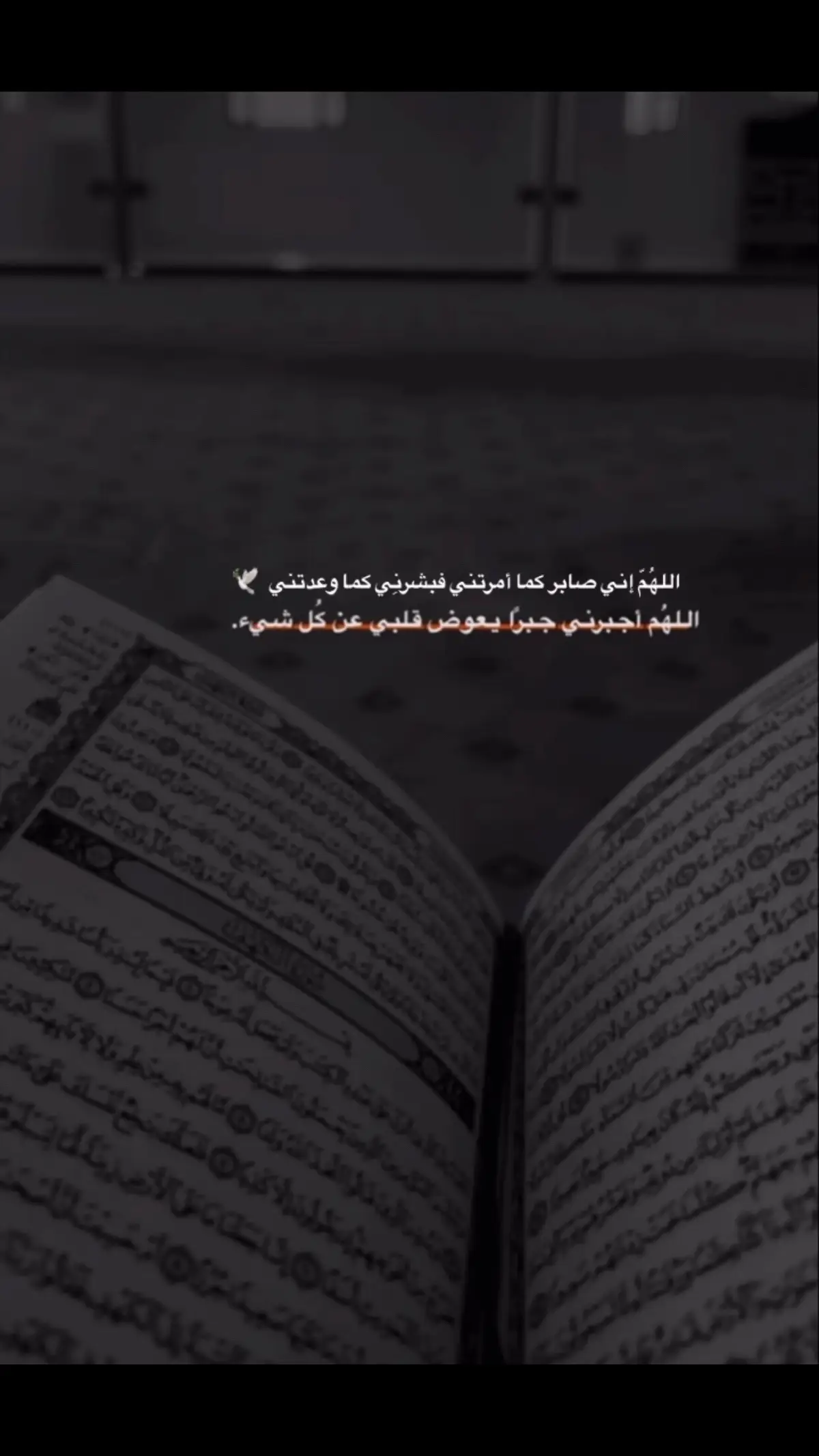 #مترك_العسيري #وستغفروا_الله_إن_الله_غفورُ_رحيم❤ #ذكر_غيرك_ولك_الأجر #اجر_لي_ولكم_ولوالدينا_وللمسلمين 