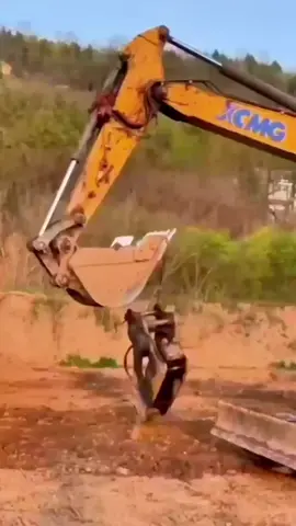 #挖掘机 #excavator ##Penggali 