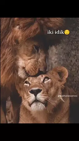#ailem 