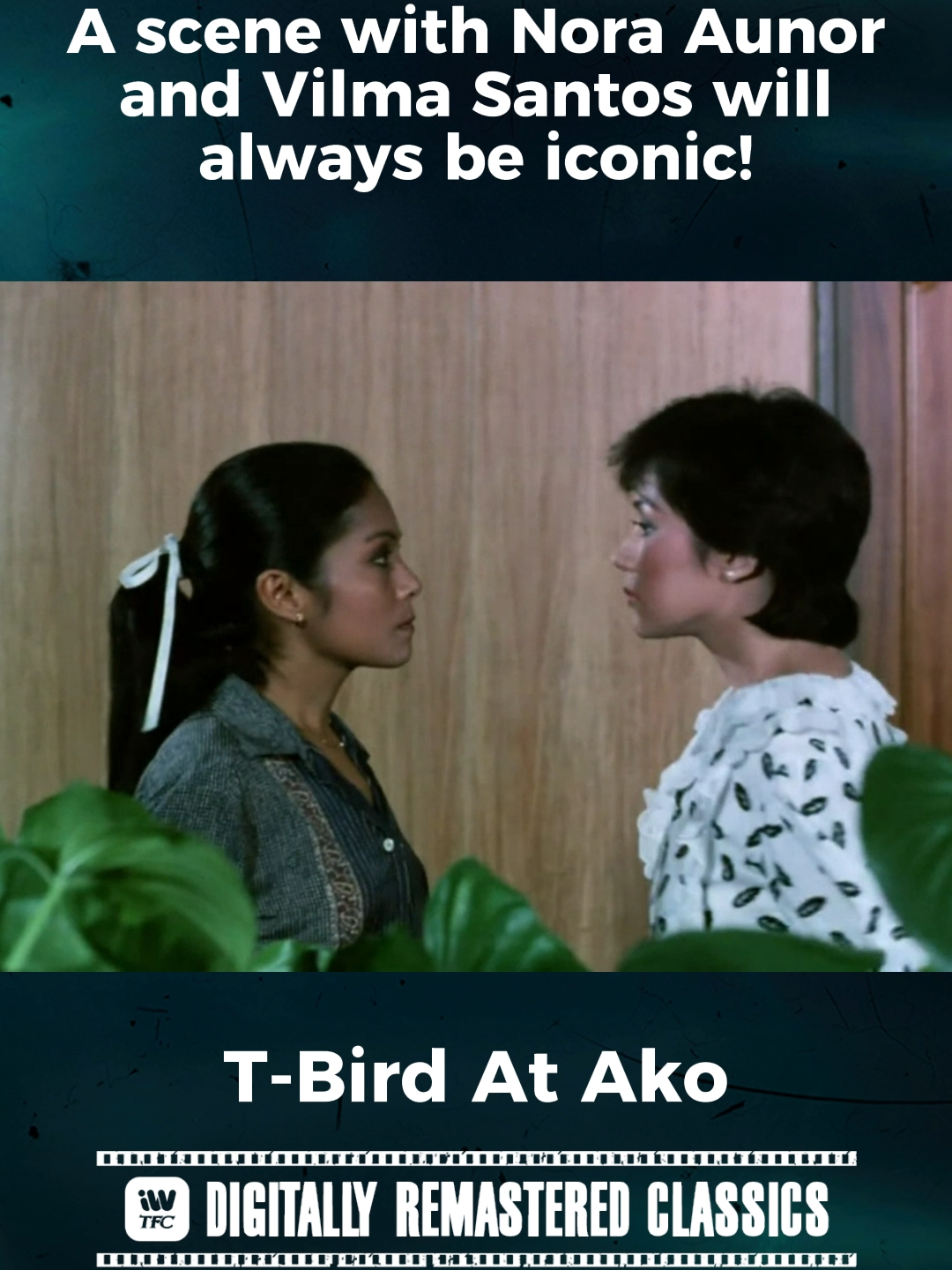 This Vilma Santos and Nora Aunor scene in T-BIRD AT AKO! Watch the DIGITALLY RESTORED and REMASTERED version now on iWantTFC! #tbirdatako #vilmasantos #noraaunor #digitallyremasteredclassic #pinoymoviescene #pinoymovies #homeoffilipinostories #iwanttfc