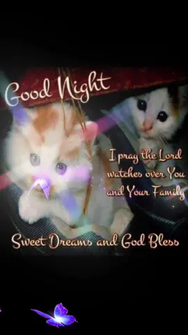 I don't own the copyrights to this music 🎶 And I don't own the copyrights to this picture #goodnight #verysweetdreams 