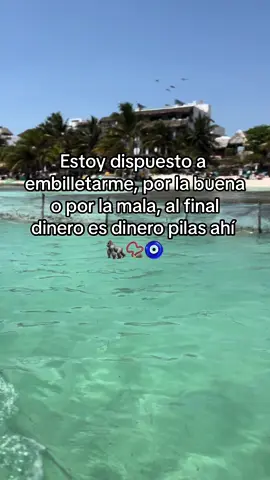 #dinero #lavado #fraude #g5 #andoenfocado #corridos 