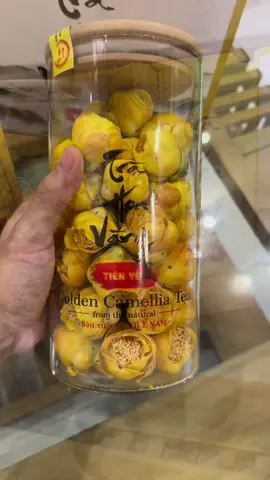 Trà hoa vàng tiên yên #tra #trahoavang 