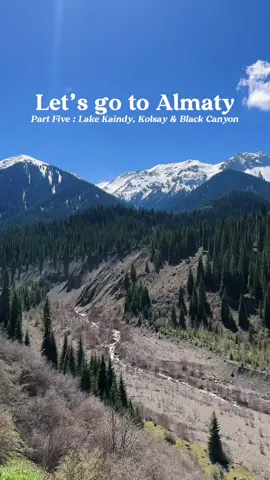 Replying to @SisSully Only RM150 for a day tour from Almaty to Lake Kaindy, Kolsay & Black Canyon We had a great time and everything was smooth. But the journey was pretty long so dont forget to standby snacks & power bank  Tour name & itinerary attached at the end of the video  #almaty #kazakhstan #kolsaylake #kaindylake #blackcanyon #travel #traveltiktok #fyp 