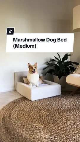 The Marshmallow Dog Bed in Medium 🤗🐶 #marshmallowframe #ineshi #australia #dogsoftiktok 