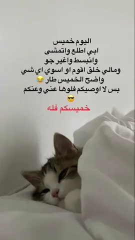 خميسكم سعادهه ✨🌷#