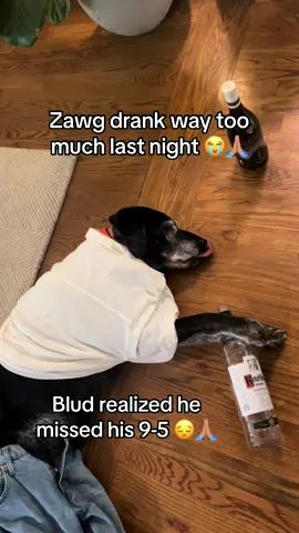 Blud didn’t know where he was 😂 #donpollo #billcollector #blud #ohio #brainrot #lobotomy #zawg #bills #donpollo📞📞📞📞 #meme #fyppppppppppppppppppppppp 