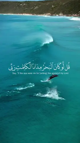 سورة الكهف نور من الجمعة للجمعة🤍✨ #قالب_قران_الكريم #قرآن_كريم_أرح_قلبك_وسمعك #تلاوة_خاشعة #قران #قران #قرآن_بصوت_جميل #راحة_نفسية #قران_كريم #اللهم_صلي_على_نبينا_محمد #صدقة_جارية_لوالدي_وللمسلمين_والمسلمات #سبحان_الله_وبحمده_سبحان_الله_العظيم #CapCut #fypシ #foryou #viral 