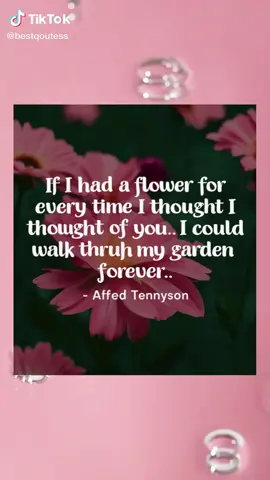 #motivationalvideo #motivational#totalyviral #trending #viral #vibes 