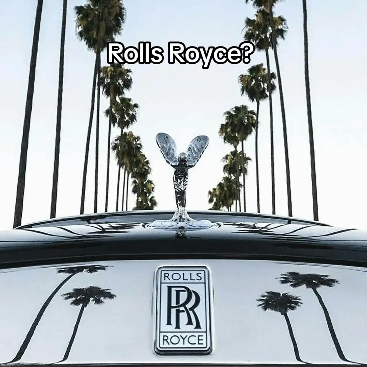Rolls-Royce Trent 1000 GENX 💀 #fyp #aviation #aviationlovers #aviationgeeks #aviationdaily #comercialpilot #atpl #rollsroyce #jet #engine #car #expensivecars #jetengine #pilot #pilotlife #spotters #fypシ゚ #fypシ゚viral #plane 