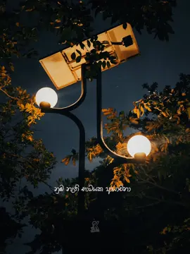 නම නැති භාවයක ආයාචනා නුබේ නුවන් දිහා...🥺 මා වරනා රැයක හීනෙන් පවා නුඹෙන් නෑ ආරාධනා ! 💖 මා යනවා නුබට අරුතක් මවා.. නොයෙන්න මතක සොයා ♥️🥹 What a masterpiece 🙇‍♂️❤️ . Mathaka Soya (මතක සොයා) 🖤 | @Mahiru Senarathne x @Prabhasha Weerasinghe   . . . #mathakasoya #mahiru #mahirusenarathne #prabhasha #prabhashaweerasinghe #sinhalanewsongs #මතකසොයා #filmattic #orchestra #sinhalasong #viral #favoritememories #fypシ #fyp #foryoupage #foryou #foryourpage #fy #tiktok #for #walipark #nawala #kavicreations #kavindumaleesha #azorahai
