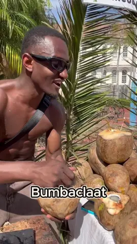 Coconut review in a South African university 😂🌴#review #coconut 