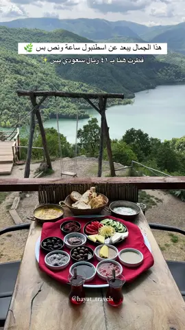 قونايدن من ازميت ( izmit ) 🌿🕊️ مدينة تركية اريافها جميلة تبعد عن اسطنبول ساعة ونص تقريباً 🚗 خيار جميل اذا كانت اسطنبول شمس لان المنطقة مرتفعة كانت  اجواءها باردة وجميلة  🤍 فطرنا في هذا المكان بسيط لكن اطلالته جميلة جداً اسمه :  Gezgin kafe 📍 سعر الافطار لشخصين  ٨٢ ريال سعودي تقريباً  ✨ #ازميت #ازميت_تركيا #اسطنبول #تركيا #izmit #istanbul #turkey🇹🇷 