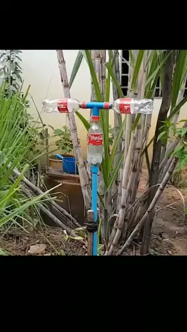 ￼ Amazing idea to make water sprinkler from plastic bottle for garden #freeenergy #DIY#viral #viralvideo 