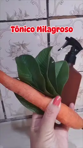 Tônico Milagroso 😍 Faça em casa e depois me conta o que você achou, se deu resultado no seu cabelo também. Seus Benificios; .Auxilia no Crescimento. .  .Acaba com a Queda. .Acaba com a Caspa. Ingredientes; .Folhas de Goiaba (Umas 6 folhas)  .Metade de uma cenoura (Cenoura pequena) Você pode está usando esse tônico após lavar seus cabelos como eu fiz no vídeo e retirar somente na próxima lavagem, ou antes de lavar deixando agir por no mínimo 2 horas e depois lavar normalmente. ❤️CURTE, COMENTA E COMPARTILHA COM SUA AMIGA❤️ .Gostou da dica? Me segue para mais dicas capilares 😊 . . . . #cuidadoscomocabelo #tônicocapilar #dicas #receitascaseirasparacabelo 