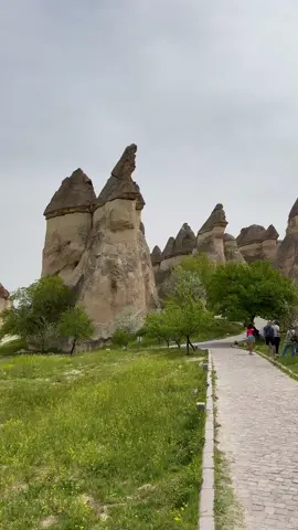 📍Pasabag Monks Valley - Cappadocia, Turkey 🇹🇷  A top highlight we visited during our trip to Cappadocia in April 2024 - Pasabag is famous for its unique mushroom-shaped fairy chimney rock formations and cave dwellings that were carved out by monks and hermits in the distant past so they could use them as homes and small monasteries.  This spot is very popular and gets crowded very quickly so it’s highly suggested you visit in the early morning as soon as it opens before the crowds arrive. Opening hours are from 8 am to 7 pm during high season as of this post and there is a fee you have to pay to get in.  Pasabag is very close to Göreme, Cavusin, and Avanos. You can easily reach by car within 10 minutes. Most private and non private tour operators include Pasabag in their itineraries.  • • #traveltiktok #cappadociaturkey #kapadokya #turkey🇹🇷 #turkiye #göreme 