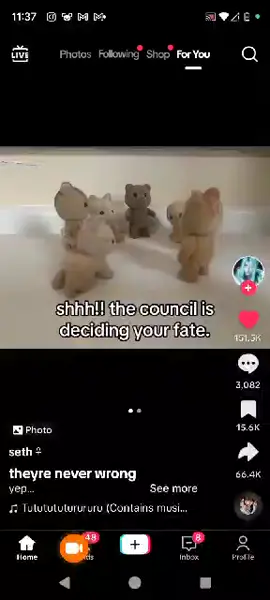 The council didn't take very long #cat #meme #ball #fyp #fyppppppppppppppppppppppp #fypシ゚viral #fypage #catsoftiktok 