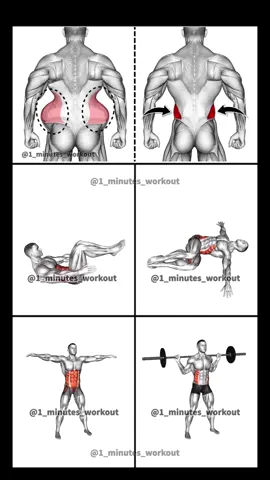 Side belly fat loss exercise 🔥 #bodybuilding #fitnesstips #abs 
