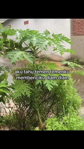 aku hanya bisa senyum dan diam. #quotes #fyp #foryou #xyzbca #4u #sadvibes #sadstory #galaubrutal #katakata #fakefriends #mukadua #munafik 