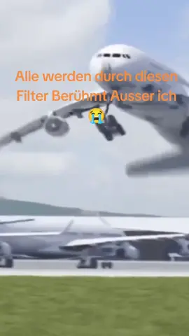 es stimmt #tiktok #Fuggsi #airplane 
