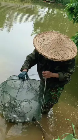 Best fish trap #fishtrap #fishnets #fishing 