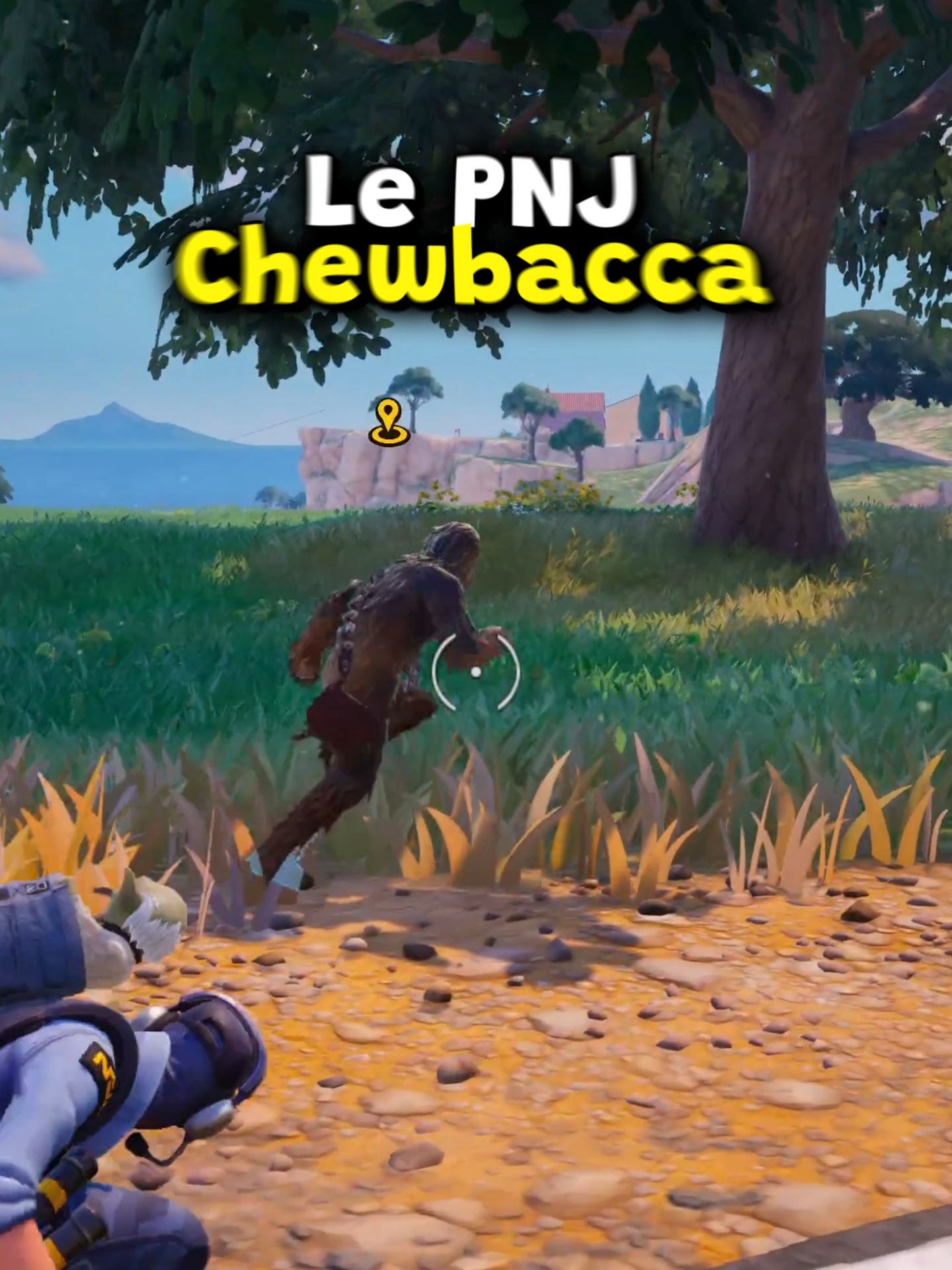 Le PNG Chewbacca est Trop Utile ! #fortnitefr