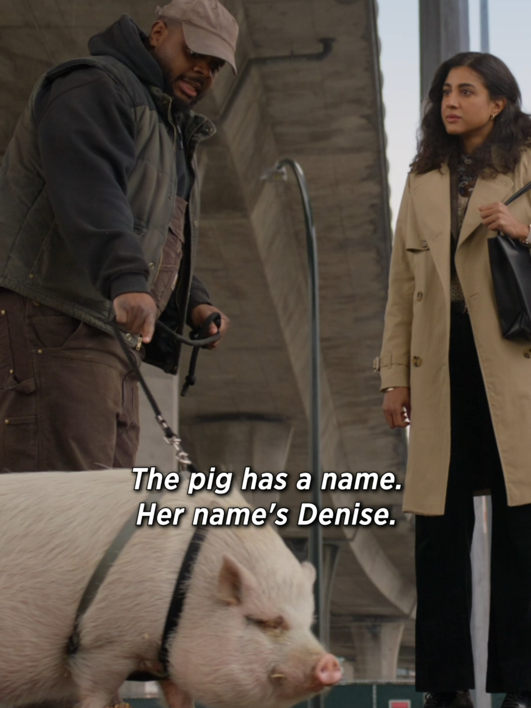 every meeting needs a good pig 🐷 watch the season finale of #animalcontrolfox wednesday at 9/8c on @foxtv next day on @hulu! #joelmchale #pig #meeting #animals #investigation