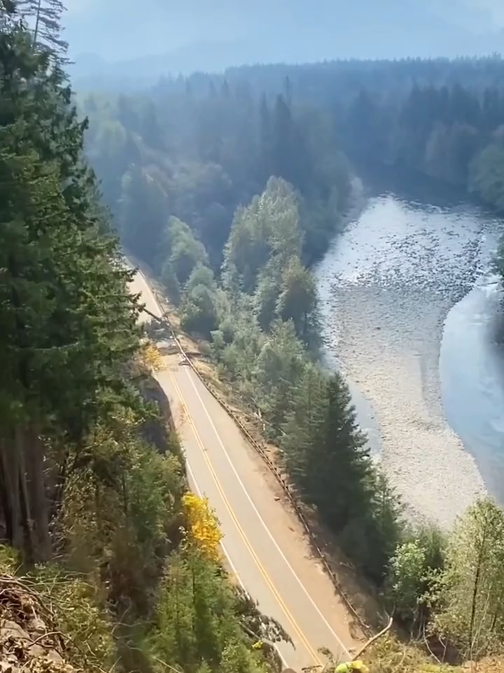treeclimbing #treeremoval #usa #tiktok #tiktokusa #treeservice